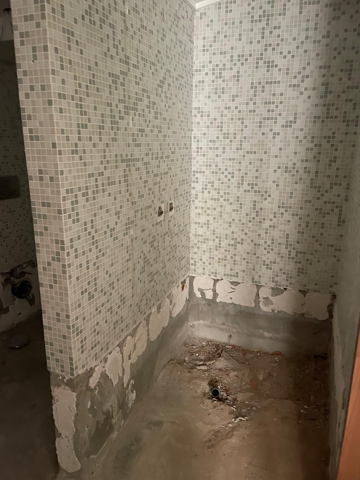 Demolition state — bathroom gutted